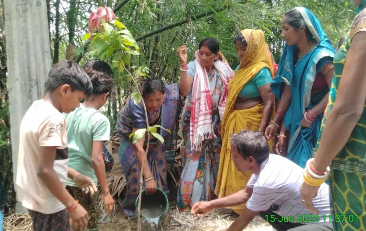 कटिहार के शारदाही गांव में उर्मिला देवी के नाम पर आम का पौधा रोपते हुए आदिवासी विकास परिषद के सदस्य।