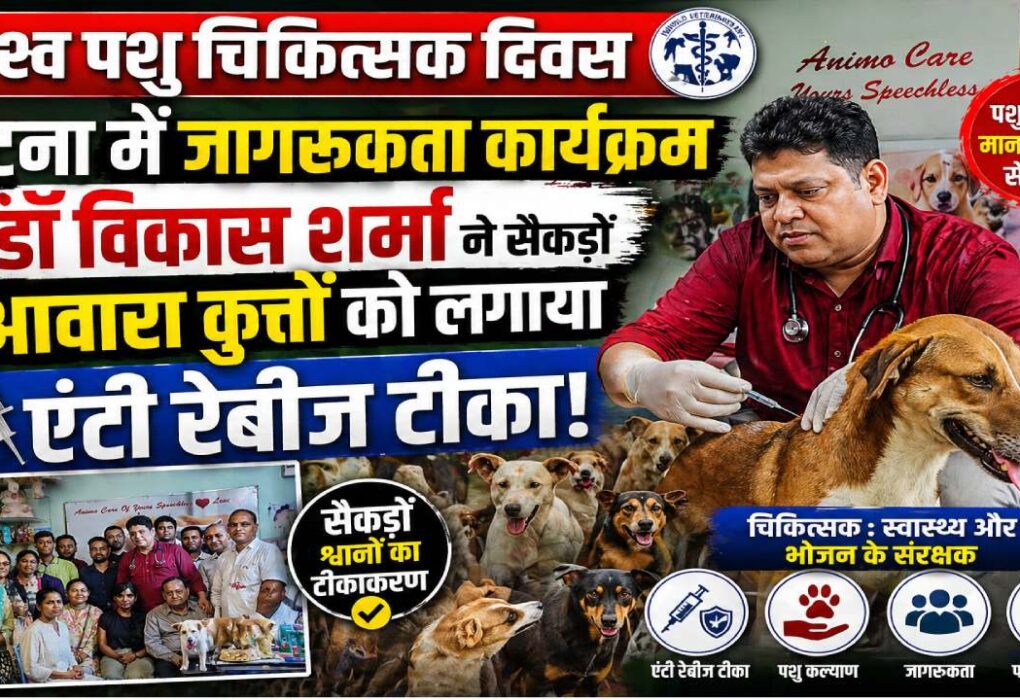 डॉ विकास शर्मा विश्व पशु चिकित्सक दिवस पर पटना के एनीमो पेट केयर में आवारा कुत्तों को एंटी रेबीज टीका लगाते हुए