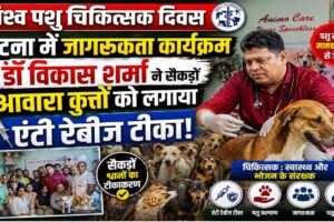 डॉ विकास शर्मा विश्व पशु चिकित्सक दिवस पर पटना के एनीमो पेट केयर में आवारा कुत्तों को एंटी रेबीज टीका लगाते हुए