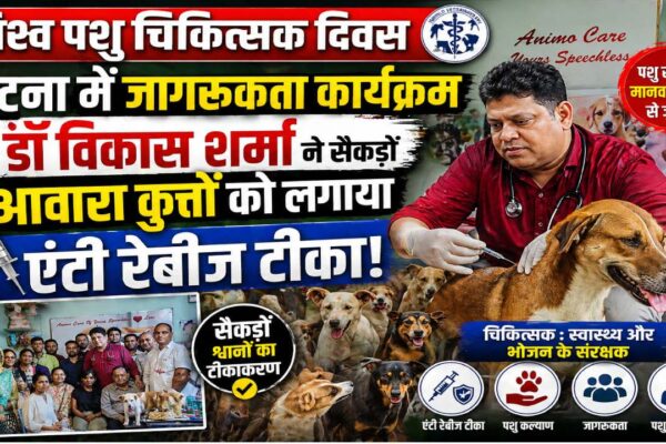 डॉ विकास शर्मा विश्व पशु चिकित्सक दिवस पर पटना के एनीमो पेट केयर में आवारा कुत्तों को एंटी रेबीज टीका लगाते हुए
